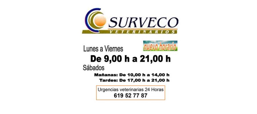 Nuevo Horario - Surveco