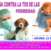 GRIPE CANINA - Surveco