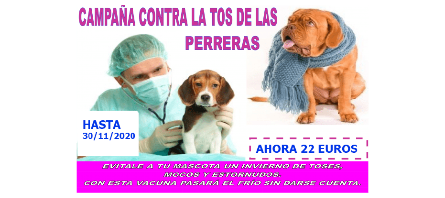 GRIPE CANINA - Surveco GRIPE CANINA - Surveco