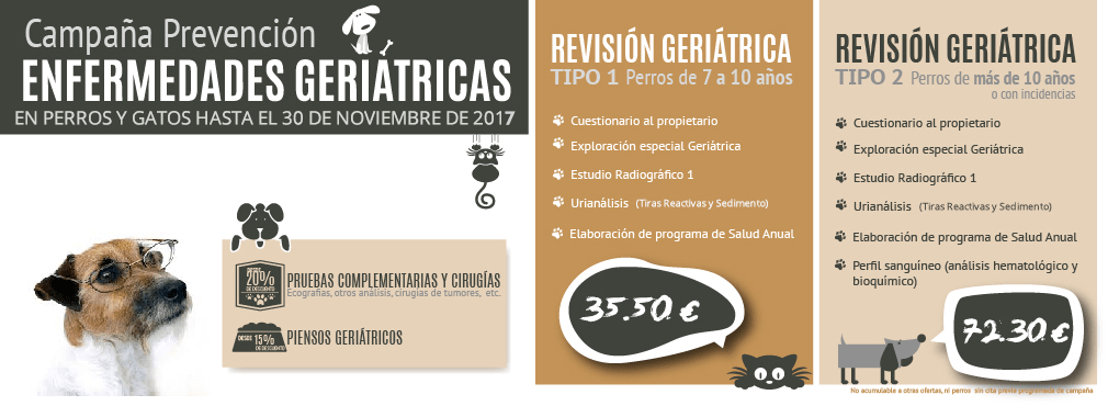 Cartel Surveco