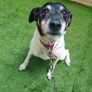 BODEGUERO EN ADOPCION - Surveco BODEGUERO EN ADOPCION - Surveco