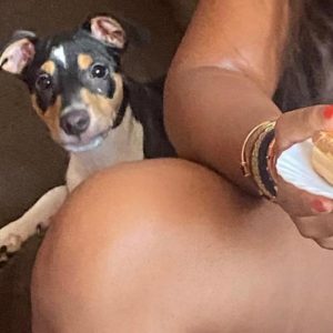 CACHORRO 3,5 MESES EN ADOPCION - Surveco CACHORRO 3,5 MESES EN ADOPCION - Surveco